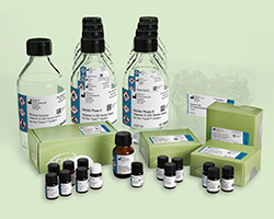 Vitamin D 200M Assay Kit